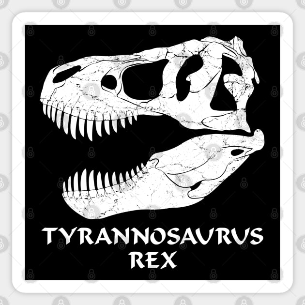 Tyrannosaurus Rex fossil skull Sticker by NicGrayTees